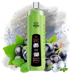 Al Fakher Crown Bar 8000 Puffs Gum Mint Goût